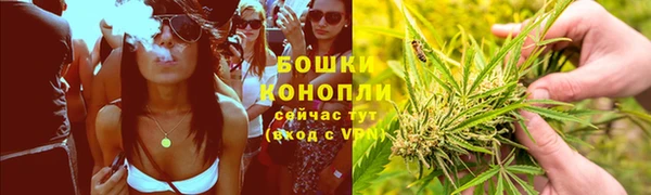 apvp Дмитровск