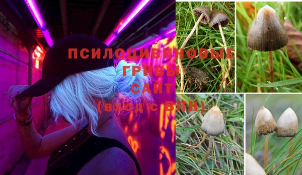 а пвп мука Елабуга