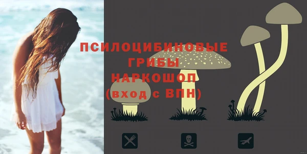 а пвп мука Елабуга