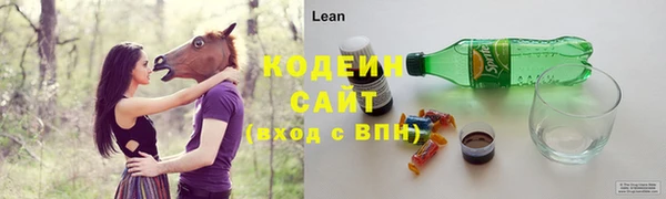 амф Дмитриев