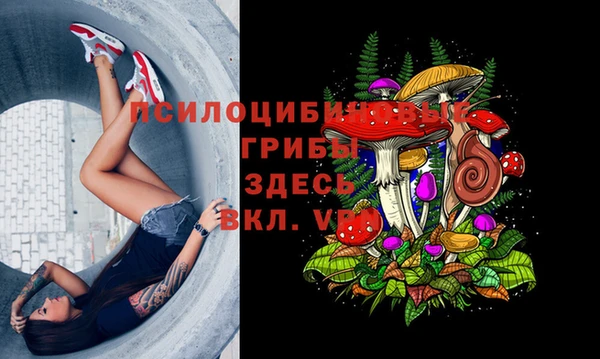 apvp Дмитровск